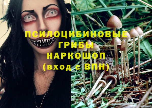 кокс Белокуриха