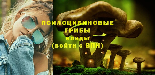 МДМА Богородск