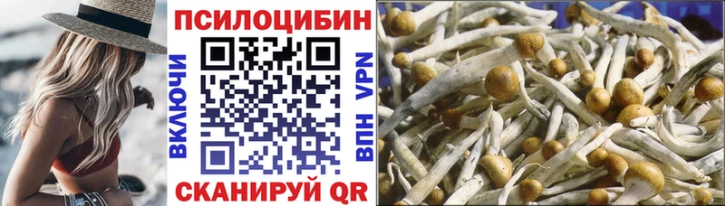 Псилоцибиновые грибы Psilocybe  Юрюзань 