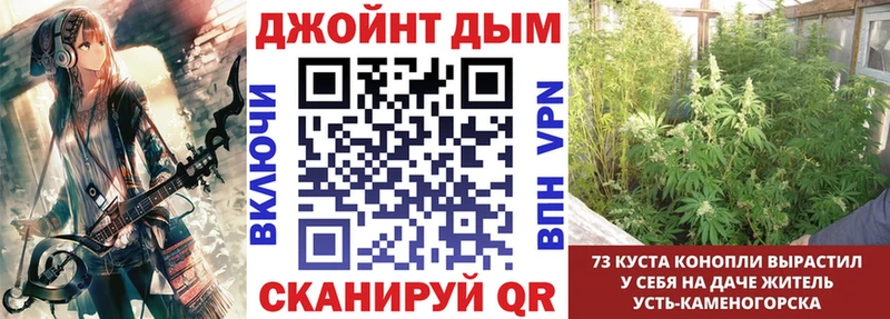 Бошки Шишки семена  закладка  Юрюзань 